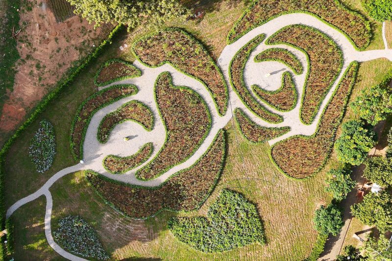 （圖／古典玫瑰園）