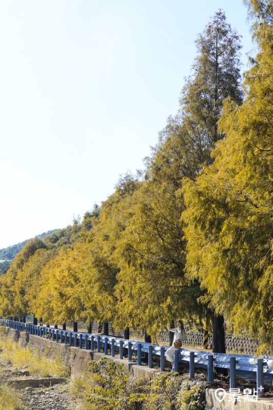 （圖／queena__0302，以下同）