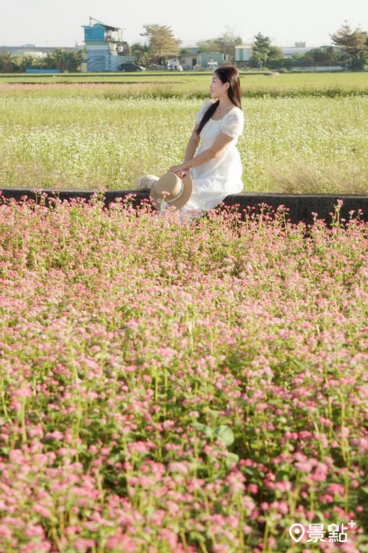 （圖／evonne.eat，以下同）