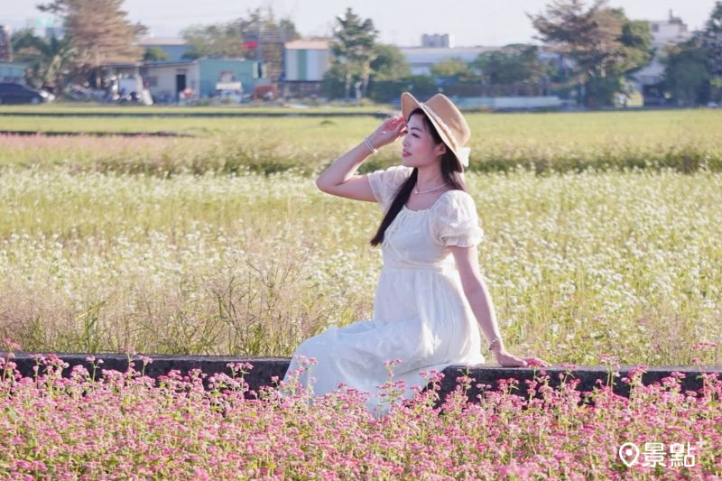 「後溪底福德祠」粉白雙色蕎麥花海，吸引花迷前往拍照打卡。（圖／evonne.eat）