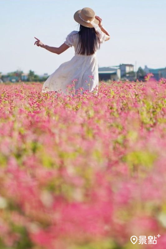 （圖／evonne.eat，以下同）