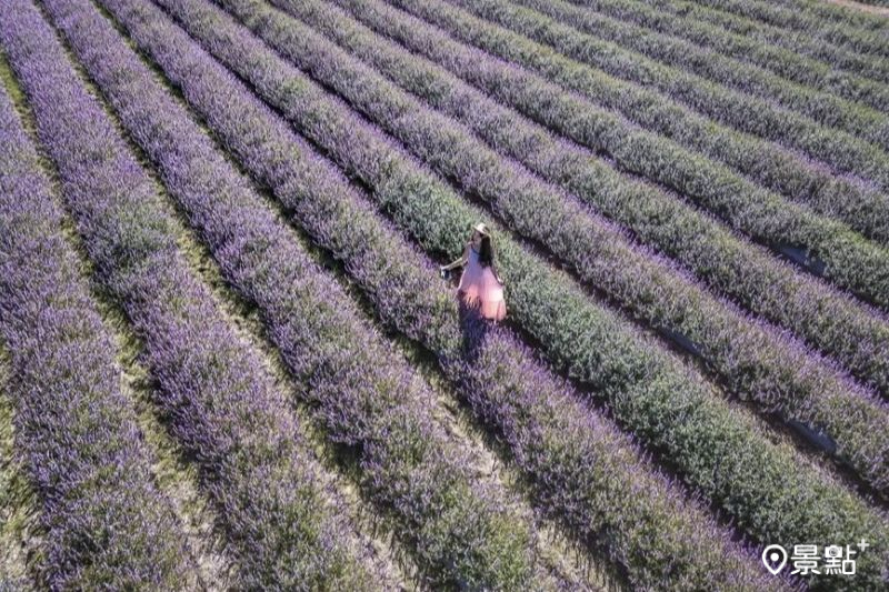 （圖／molly888666）