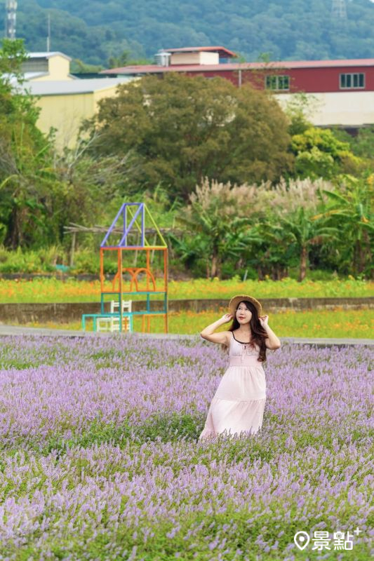 （圖／molly888666）