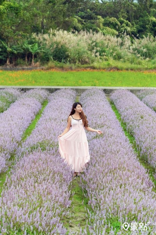 （圖／molly888666，以下同）