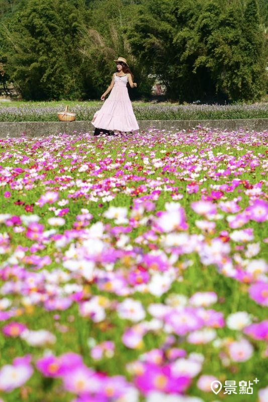 （圖／molly888666，以下同）