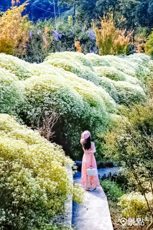 （圖／ada_00170，以下同）