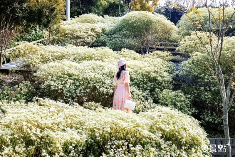 （圖／ada_00170）