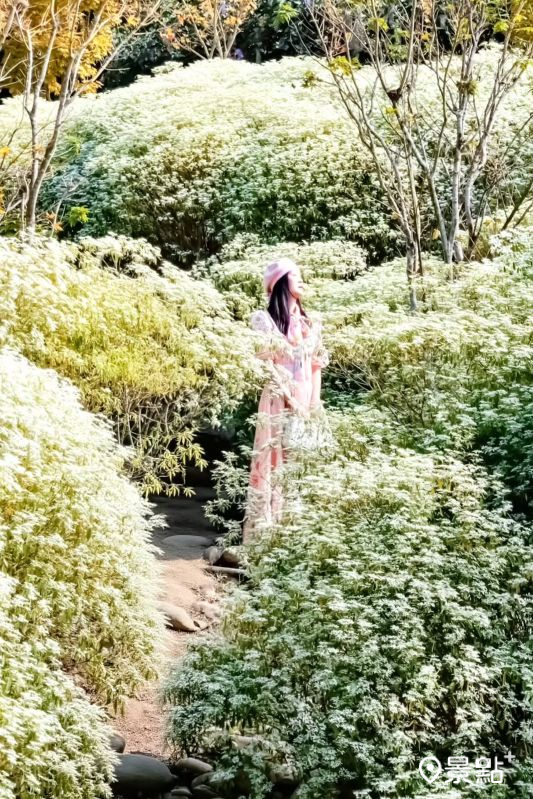 （圖／ada_00170，以下同）