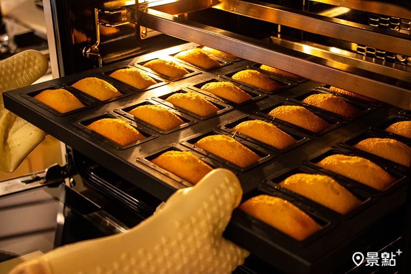 現烤原味費南雪。