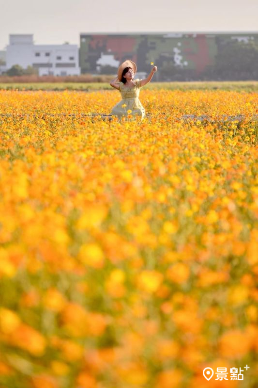 （圖／laiyuping9520）