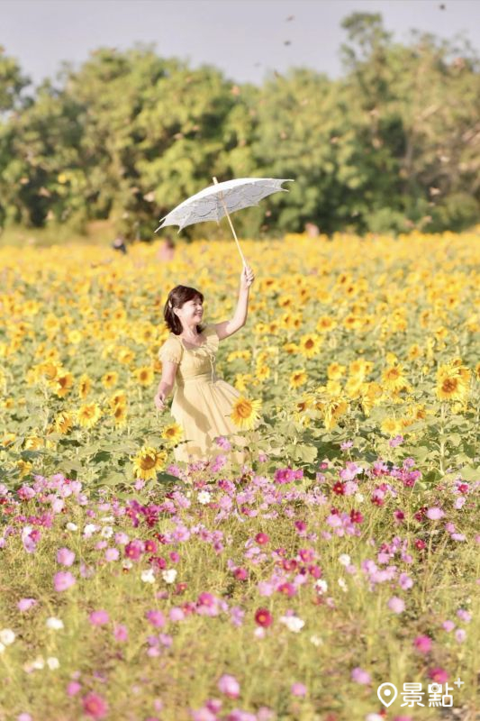 （圖／laiyuping9520，以下同）