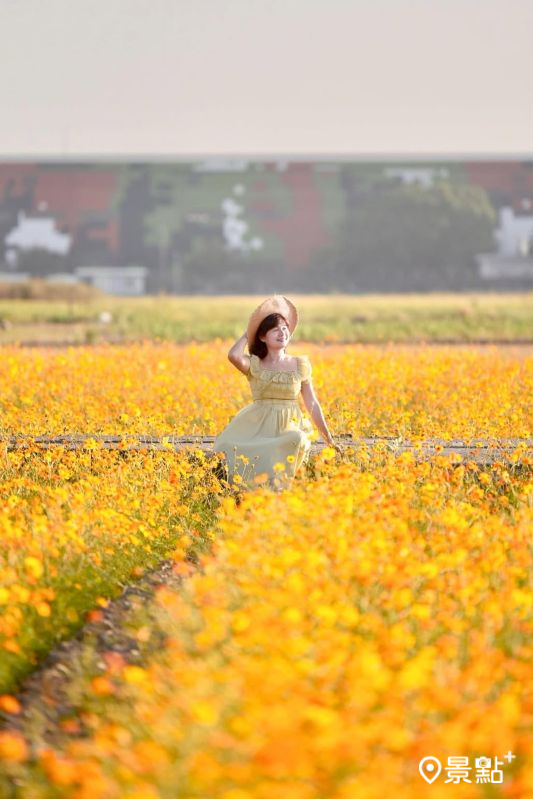 （圖／laiyuping9520，以下同）