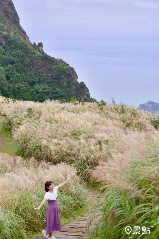 （圖／laiyuping9520）