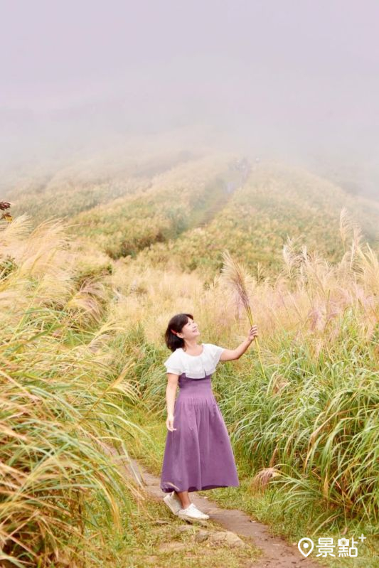 （圖／laiyuping9520，以下同）