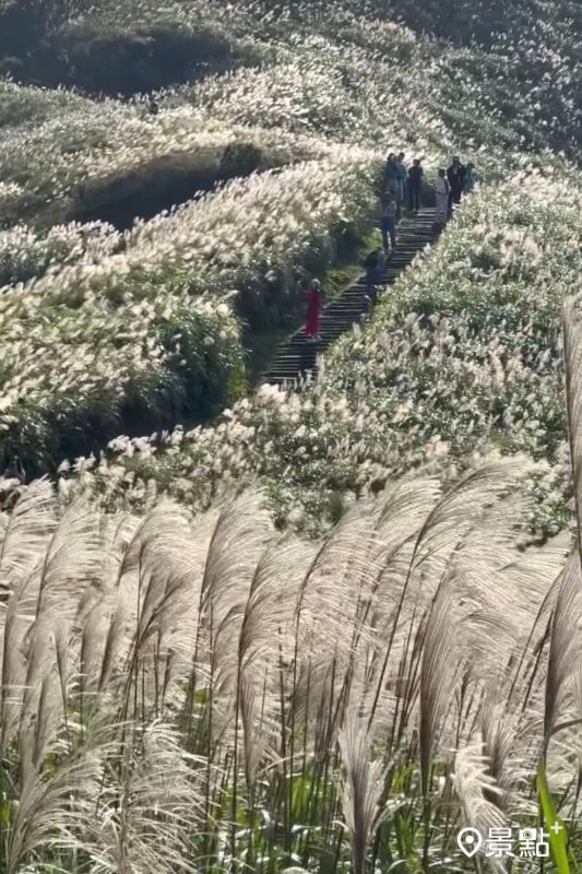 （圖／pierrehuang）