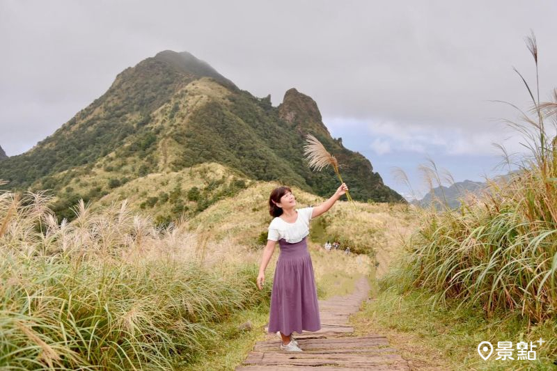 （圖／laiyuping9520）