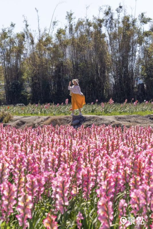 （圖／yijiun_lee）