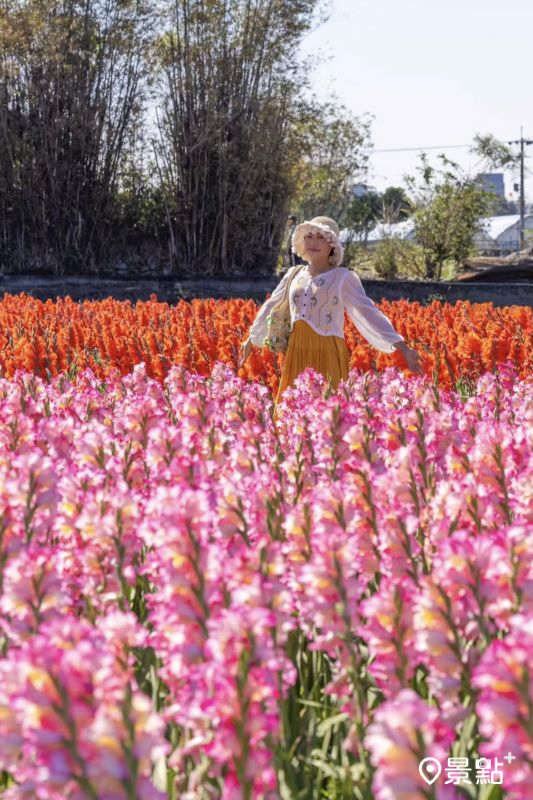 （圖／yijiun_lee）