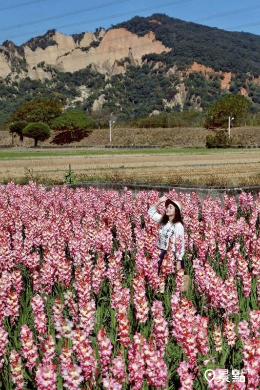 （圖／a_tsai324）