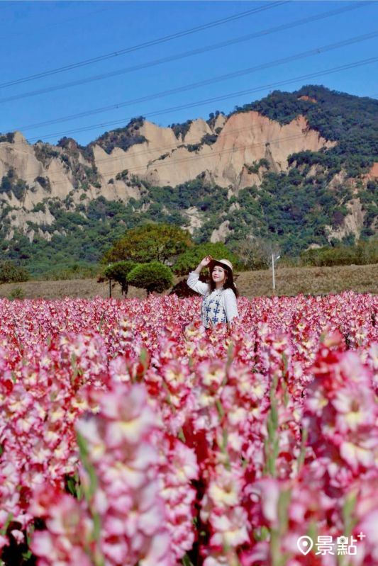 （圖／a_tsai324）