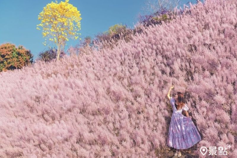 （圖／molly888666）