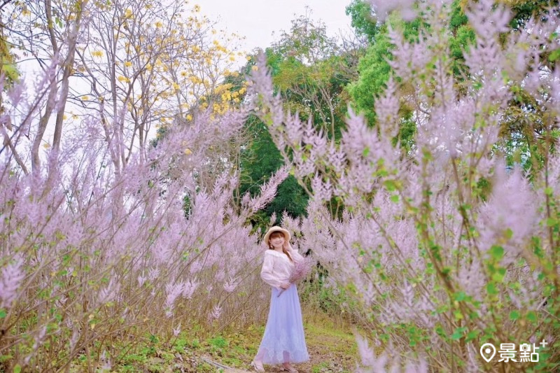 （圖／qi_hui_lin）