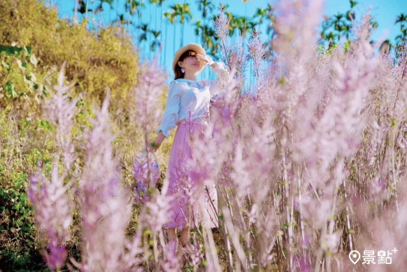 （圖／qi_hui_lin）