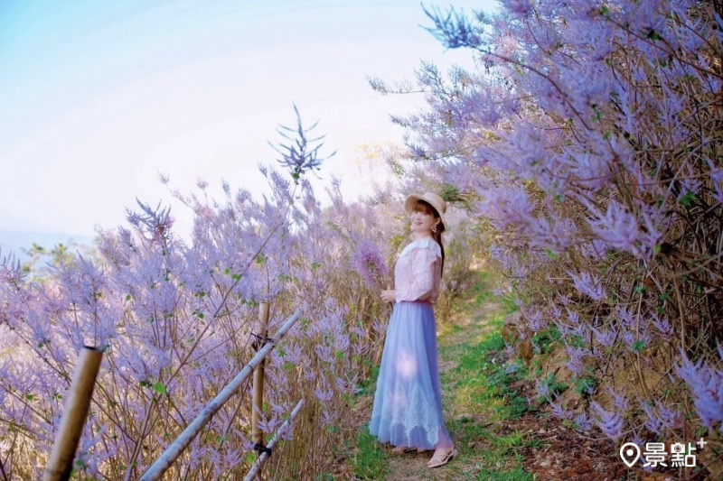 （圖／qi_hui_lin，以下同）