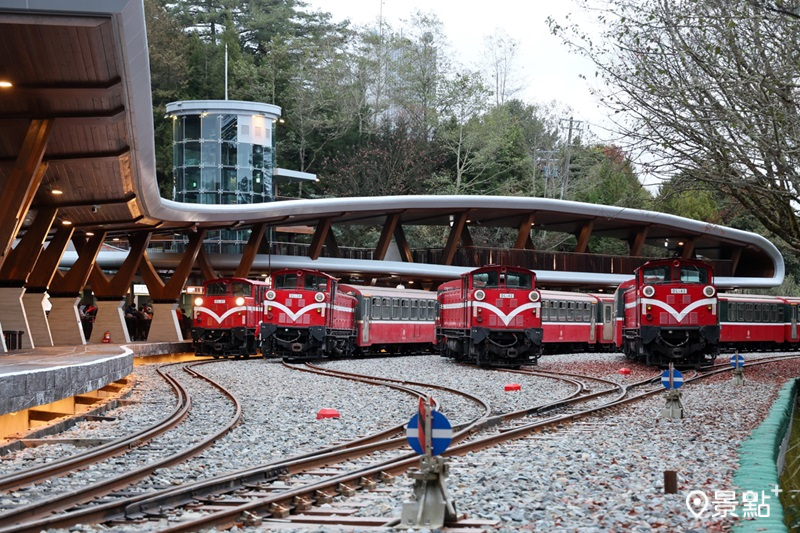阿里山林業鐵路祝山觀日列車營元旦曙光車票開賣。（圖／阿里山林業鐵路，吳明翰攝影，以下同)