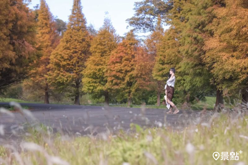 （圖／aday0530，以下同）