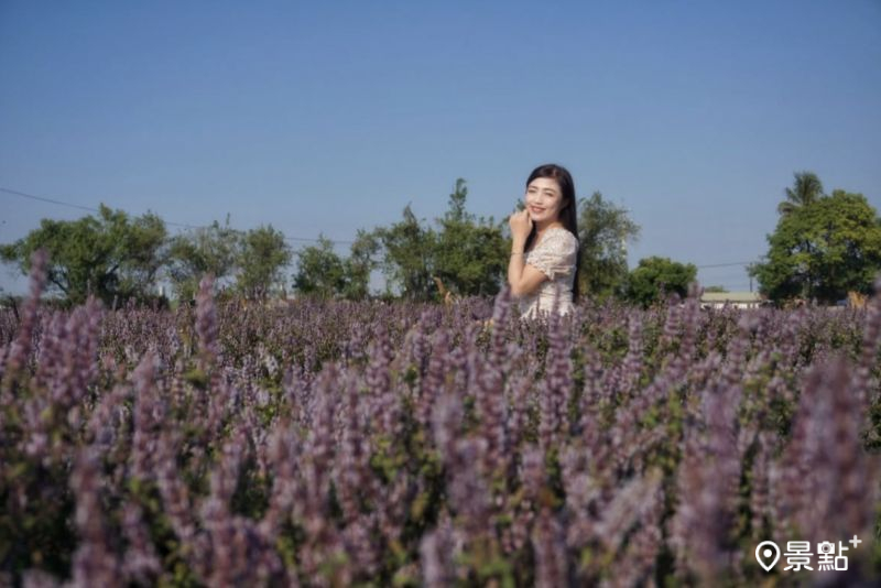 （圖／evonne.eat，以下同）