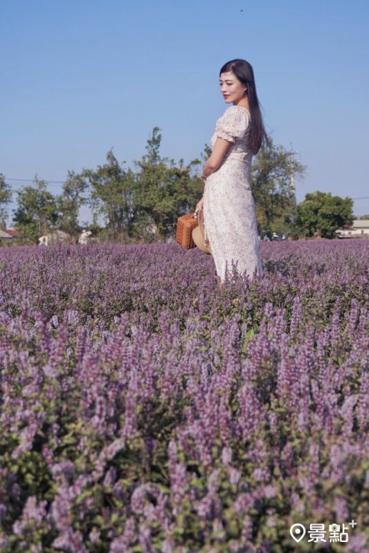 （圖／evonne.eat，以下同）