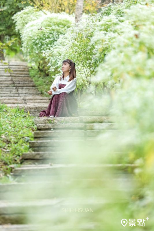 （圖／shih_hsuan6260）