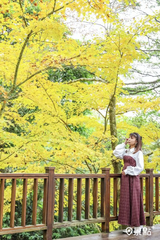 （圖／shih_hsuan6260）