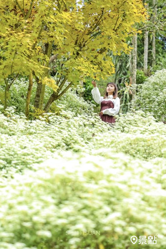 （圖／shih_hsuan6260，以下同）