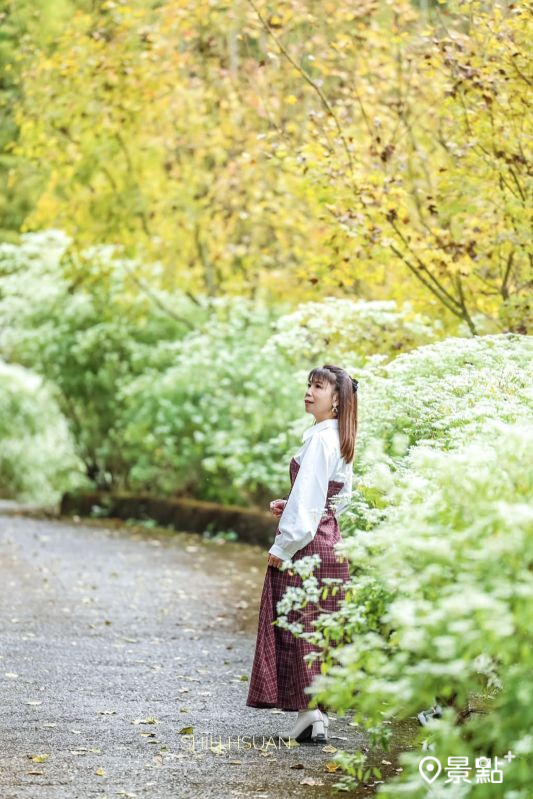 （圖／shih_hsuan6260）