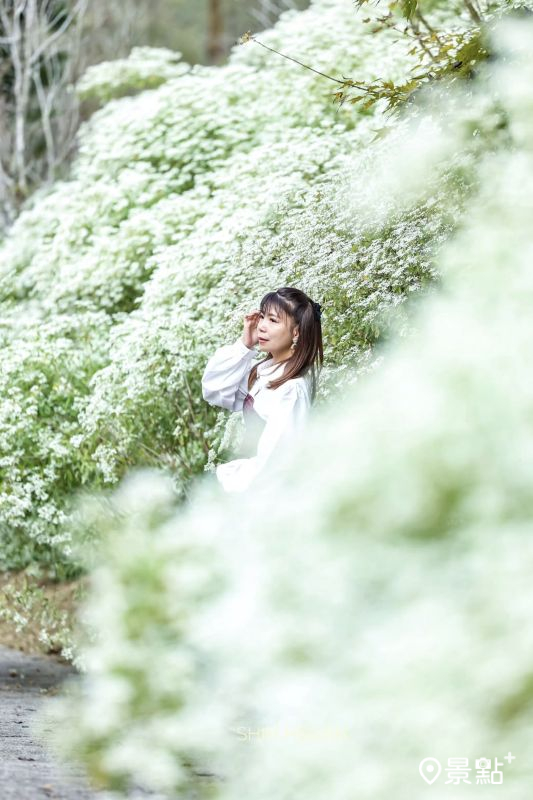 （圖／shih_hsuan6260）