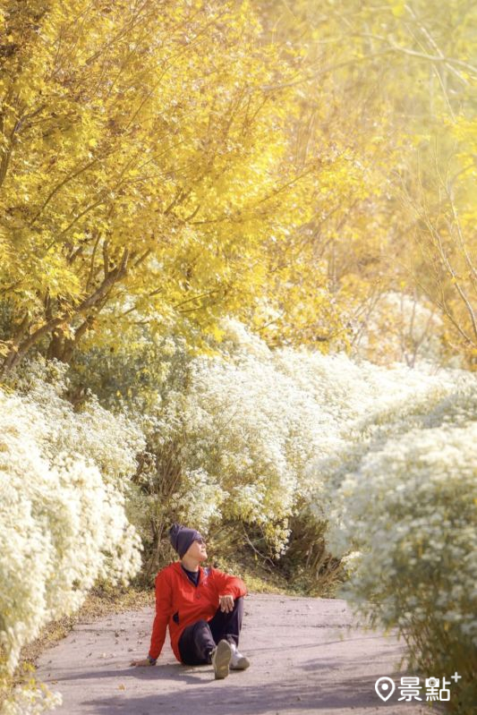 （圖／sam19671126）