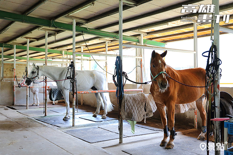 觀音山馬術中心位於大社觀音山山腳下，致力推廣專業馬術運動。
