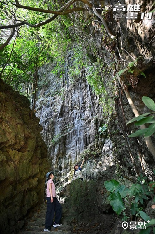不需辛苦地翻山越嶺，就能走進綠色秘境，吸引許多登山客探秘。