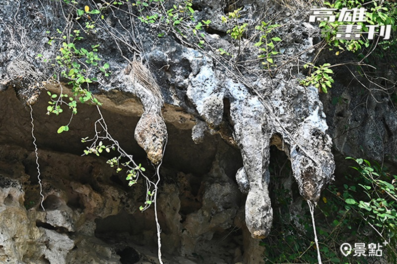 「石母乳」為石灰岩溶蝕沉積形成的鐘乳石，滴水不斷。