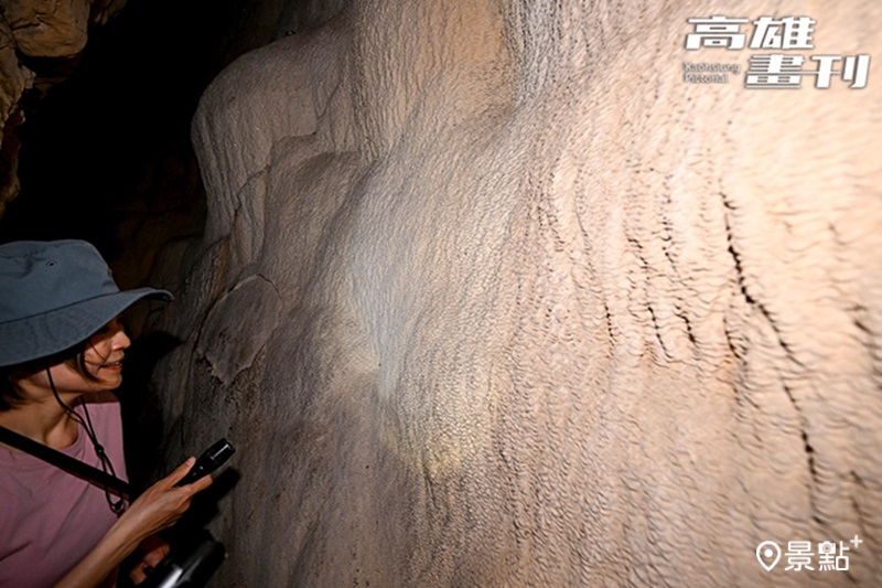 石灰岩洞內如銀色沙灘般的石簾，在手電筒燈光下閃閃發光，仔細找找，能發現灶馬和長尾鞭蠍的蹤跡。
