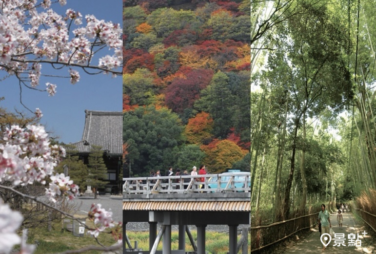 走訪京都嵐山嵯峨野！不只竹林之道人氣必打卡  風雅紅葉夢幻櫻花都是必訪絕景