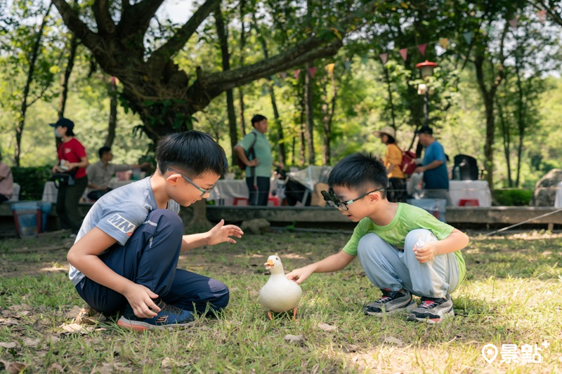 馬年親子寵物族走春必玩！尖山埤渡假村「馬年迎春 福鴨獻瑞」走春活動一次看