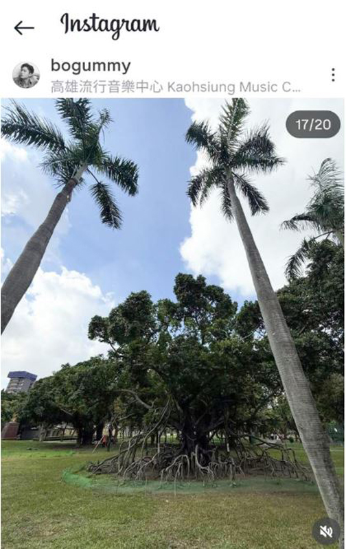 取自朴寶劍IG截圖：朴寶劍到高雄開粉絲見面會「Be With You」時，拍下屬於高雄的記憶，包括中央公園的百年榕樹。